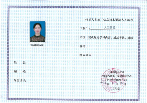 人工智能技術服務 賦能現代產業變革的關鍵引擎